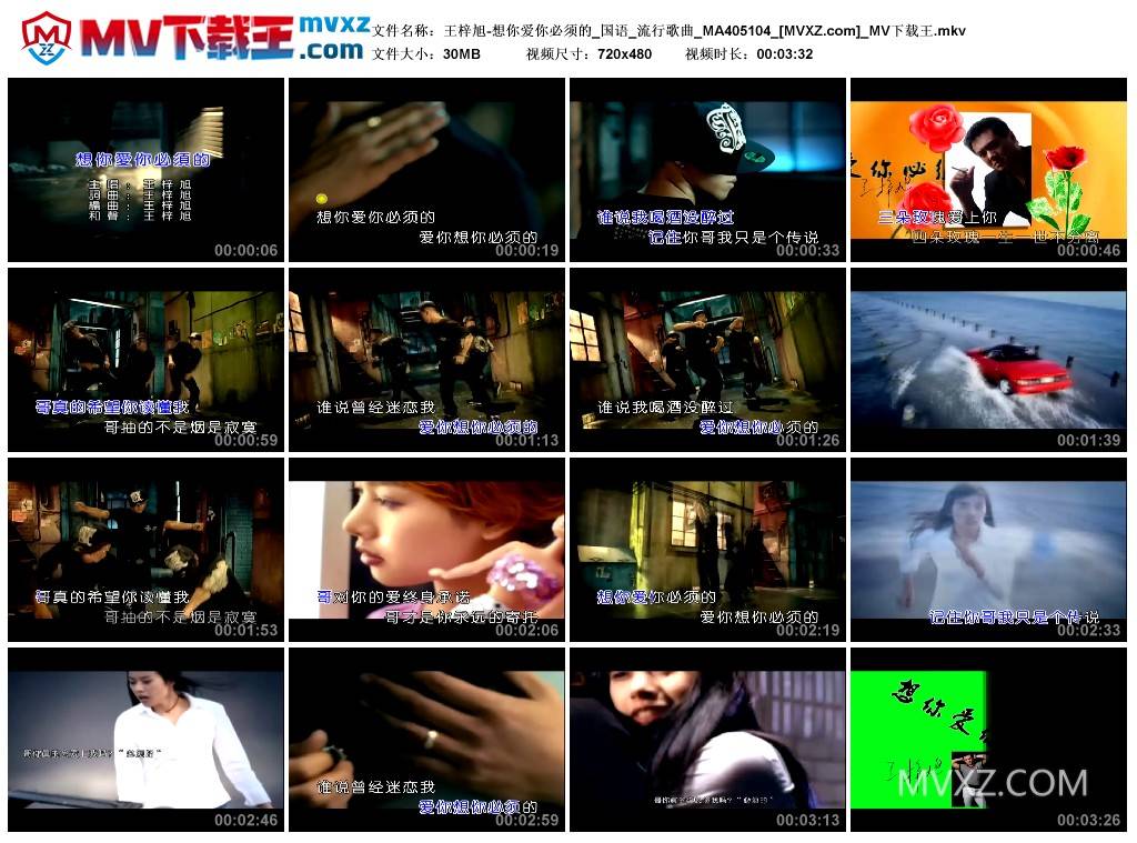 王梓旭-想你爱你必须的_国语_流行歌曲_MA405104